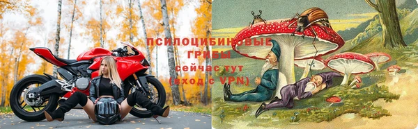 Альфа ПВП Волосово