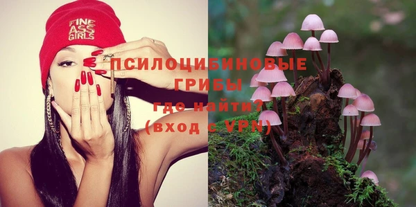 ешки Волоколамск