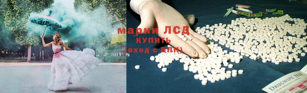 ГАЛЛЮЦИНОГЕННЫЕ ГРИБЫ Видное
