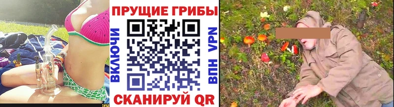 Галлюциногенные грибы прущие грибы Галич